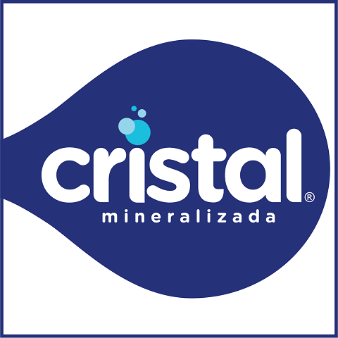 CRISTAL MINERALIZADA